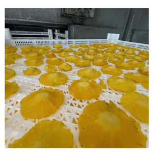 Piña Liofilizada Dulce y Suave, Empaque a Granel, Origen Vietnam, 12 Meses de Vida Útil, Snacks para la Industria Alimentaria - Product Image 2