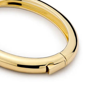 Anillo Nasal para Ganado de Acero Inoxidable de la Mejor Calidad a Precio Económico / Tamaños de 50 mm a 70 mm, Suministros para Ganado - Product Image 4