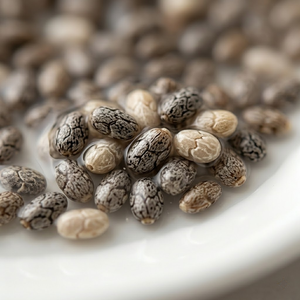 Semillas de Chía Negra Orgánica Premium de Marca Privada, Alto Contenido de Fibra, Omega-3, Superalimento para el Control de Peso y Smoothies Saludables - Product Image 2
