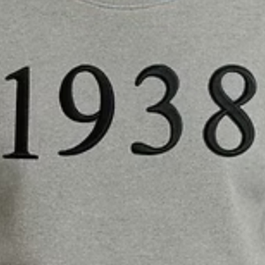 เสื้อสเวตเชิ้ตปักลายพัฟ 3 มิติ สีเทาสำหรับเด็กผู้หญิง เสื้อแขนยาวลำลอง สวมใส่สบายทุกวัน เสื้อผ้าสไตล์ไลฟ์สไตล์ - Product Image 2