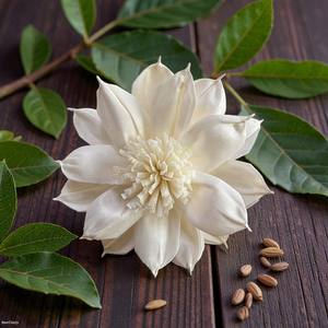 زهرة سولا خشبية مصنوعة يدويًا مستوحاة من زهرة الداليا، مقاس 15 سم، كبيرة الحجم، مصنوعة من ألياف نبات السيسبانيا - Product Image 2