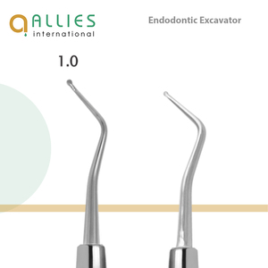 Excavador Dental Endodóntico Profesional de Alta Calidad para la Eliminación de Caries, Herramienta Dental - Product Image 2
