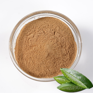Polvo de Aloe Vera OEM 100% Puro y Natural, Mascarilla Facial Ayurvédica a Base de Hoja de Aloe Vera, Cuidado de la Piel, Hidratante para Piel Seca - Product Image 1