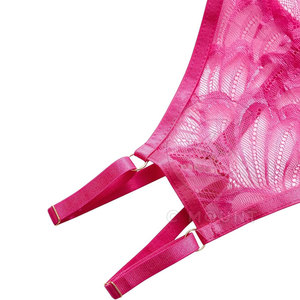 Ensemble de lingerie en dentelle pour femmes, lingerie tendance, vêtements de nuit, vêtements intimes élégants, lingerie moderne - Product Image 5