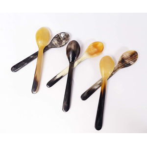 Ensemble de 6 cuillères en corne de buffle de haute qualité, vaisselle moderne pour la maison, cuillères à dessert et à glace, à prix abordable - Product Image 5