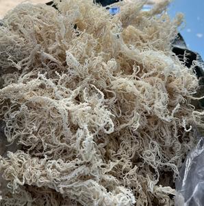 Chondrus Crispus Eucheuma cottonii คั่วสาหร่ายทะเลสีทองขายส่ง seamoss สีม่วง - Product Image 6