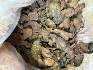 เอลิวเธอร์โอค็อกคัส ไตรโฟเลียตัส (Acanthopanax Trifoliatus) ชิ้นก้านแห้งจากป่าธรรมชาติ คุณภาพพรีเมียม ปราศจากเชื้อรา ความชื้นต่ำ - Product Image 5