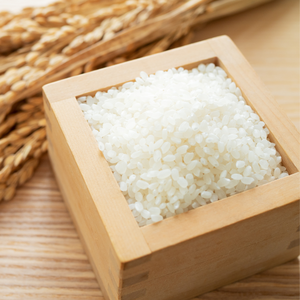 Riz Japonica de Haute Qualité 25kg/50kg Emballage Vrac Exportation Riz à Grains Courts Premium Direct Usine à Prix Compétitif - Product Image 1