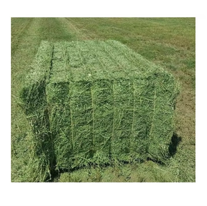 Foin d'alfalfa biologique compressé pour l'alimentation animale, riche en minéraux et en protéines naturelles, fournissant une alimentation fraîche en foin d'alfalfa - Product Image 6