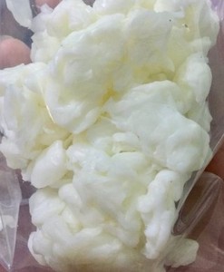 VIETNAM NATA DE COCO CRU MEILLEUR FOURNISSEUR VIETNAM Gelée de noix de coco - Product Image 6