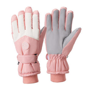 Gants de ski d'hiver en gros, haute qualité, vente directe usine, gants de sport d'hiver, gants de snowboard, gants de ski OEM ODM - Product Image 1