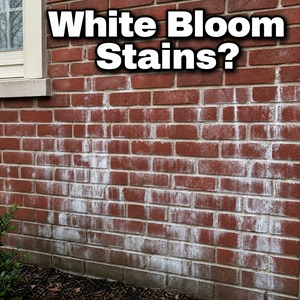 Anti Efflorescence <b>Waterproof</b> Protective Coating 1K For Brick Masonry Eco Friendly Exterior Wall Blocking Low VOC Building - Product Image 2