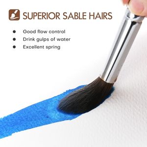 Set Professionale di 7 Pennelli per Acquerello in Pelo di Martora, Forme Assortite: Piatto, Appuntito, Lingua di Gatto, Ovale, Pennello a Ventaglio per Lavaggio, Collezione di Pennelli per Pittura - Product Image 2