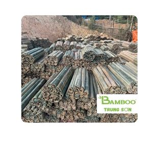 [Bamboo Trung Son Gem Le Model] MEILLEURE VENTE Brins de bambou de 42 pouces pour la fabrication de cerfs-volants, les travaux artisanaux, les barrières anti-mauvaises herbes et l'utilisation en jardinage Pakistan - Product Image 1