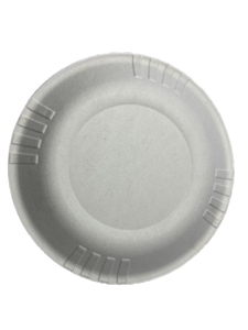 <span class=keywords><strong>Vaisselle</strong></span> jetable en bagasse de canne à sucre Assiettes réutilisables robustes <span class=keywords><strong>écologique</strong></span>s pour les fêtes - Product Image 5