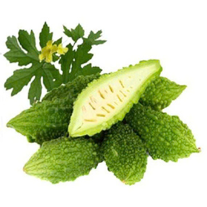 Melon amer séché du Vietnam |   Haute qualité pour la préparation de thé et de plats - Product Image 2