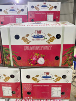 Verse Dragon Fruit uit Vietnam – Zoete smaak, exportkwaliteit voor India
