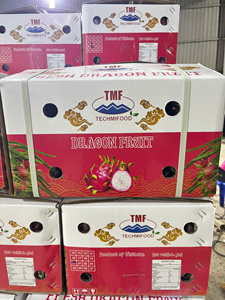 แก้วมังกรสดจากเวียดนาม – รสหวาน คุณภาพส่งออกสำหรับอินเดีย - Product Image 6