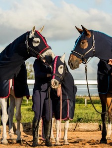 Mantas Ecuestres para Caballos en Oferta, Mantas de Establos Acolchadas Personalizadas, Mantas Combinadas de Invierno para Montar a Caballo - Product Image 3