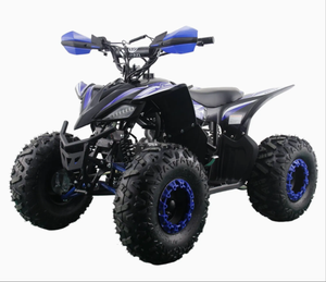 Quad 110cc Chithan durable à monter soi-même avec moteur puissant, garantie 3 ans, poignée en plastique, OEM/ODM pour enfants - Product Image 1