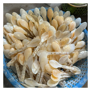 เพิ่มเสน่ห์แห่งชายฝั่งให้กับโต๊ะอาหารของคุณด้วยช้อนเปลือกหอยทำมือจากเวียดนาม สำหรับร้านอาหาร คาเฟ่ และตลาดค้าปลีก - Product Image 1