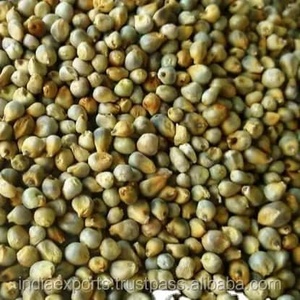 Bulk Organic Yellow Glutinous <b>Millet</b> Safed Matar Freshly Cultivated 100% Natural High Quality - Product Image 3