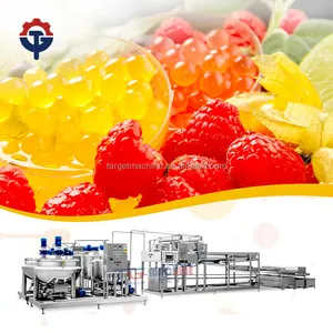 TG soft candy machine manufacturer Pectin Gummy Manufacturing System with CE Certification and Mold Filling Capabilities