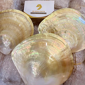 ถาดเปลือกหอยมุกขัดเงาธรรมชาติสำหรับเสิร์ฟคาเวียร์ (หลายขนาด) พร้อมฐาน/ขาตั้ง ถาดมุกเปลือกหอยแกะสลักอย่างสวยงาม - Product Image 1