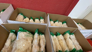 Hongo de Nieve Seco Entero/Hongo Blanco/Hongo Tremella/Hongo Oreja de Pana Blanca para Cocinar, Vegano, 500g/bolsa - CARYLN - Product Image 2