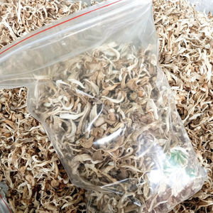 2024 Premium Dried Oyster Mushroom Hot Export with Low Price <b>Cultivated</b> Raw Processing for Eating in Bulk - Product Image 4