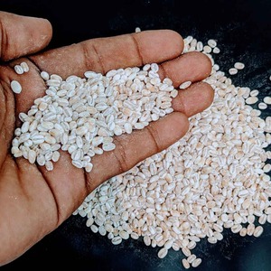 Grano de Cebada Premium para Nutrición Ganadera, Cebada 100% Pura para Alimentación Animal, Limpia y Seleccionada, Empaque a Granel para Exportación - Product Image 2