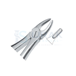 Forceps d'extraction dentaire en acier inoxydable, forceps manuels pour dents, griffes chirurgicales pour usage clinique - Product Image 2