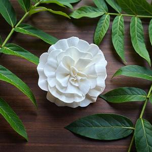 Flores de Madera de Sola Blancas Hechas a Mano y Sostenibles, Tamaño: 8.5 CM, Varilla de Fibra de Planta de Sesbania de Tailandia - Product Image 4