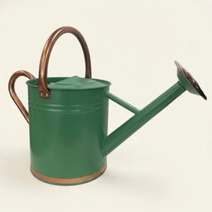 Arrosoir en métal galvanisé de haute qualité et durable pour plantes d'extérieur et d'intérieur, résistant à la rouille, grande capacité, arrosoir de jardin - Product Image 5