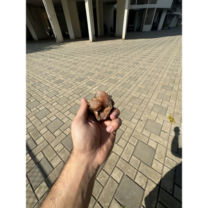 Cristal de quartz himalayen brun décoratif, pierre naturelle pour la guérison, la méditation et la décoration intérieure - Product Image 1