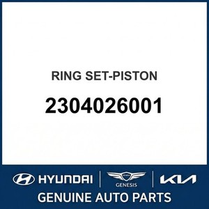 Pistones y Anillos Nuevos Accent 2304026001 - Product Image 1