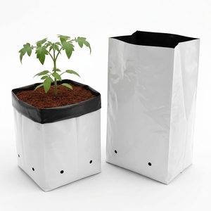 Eco-Friendly <b>Plastic</b> Grow Bags-Overseas Brand Biodegradable Durable Breathable 1000mL for Hydroponics Greenhouse Vegetable - Product Image 5