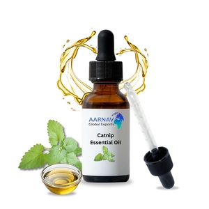 100% Pure Catnip <b>Essential</b> <b>Oil</b> for Beauty Care Exporter Wholesaler Product - Product Image 4