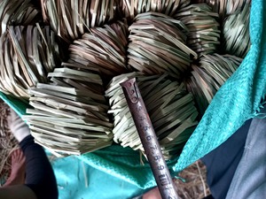 ผู้ส่งออกหญ้าทะเลแห้งเวียดนาม เส้นใยธรรมชาติสำหรับตกแต่งบ้าน พรมและเสื่อ ราคาแข่งขัน คุณภาพสูง 35 ANGLE - Product Image 4