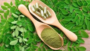 Polvo de Hoja de Moringa de Alta Calidad |   Ingrediente Superalimento |   Exportación a granel - Product Image 3