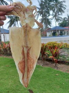 Calamar Liofilizado de Primera Calidad, Bocadillos de Mariscos 100% Naturales, para Saltear, Freír, Ensaladas y Sopas, Bolsa de 1kg, Viet Delta, Personalizable - Product Image 6