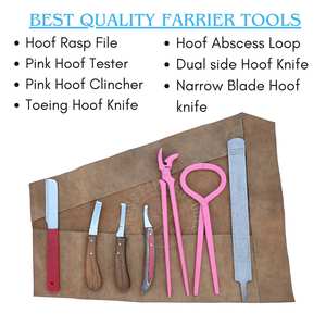 Kit d'outils de fermeur pour le soin des sabots : Testeur de sabots, Râpe, Poinçon, Lame double face à manche en bois, Lame étroite et Couteau à boucle - Product Image 2