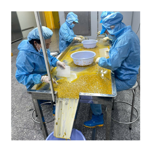 Purée de fruit de la passion surgelée sans pépins de qualité supérieure pour l'exportation, destinée aux acheteurs mondiaux en gros - Product Image 6