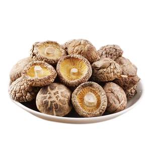 Hongos Shiitake Secos Vietnamitas Premium – Suministro a Granel de Grado Alimenticio - Product Image 4