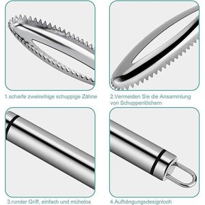 Squamatore Professionale per Pesce in Acciaio Inossidabile, Utensile da Cucina per Frutti di Mare - Product Image 2