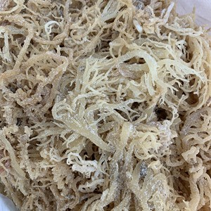 Musgo de mar orgánico a granel, algas secas al por mayor para uso alimentario con precio competitivo de la fábrica de Vietnam. - Product Image 1