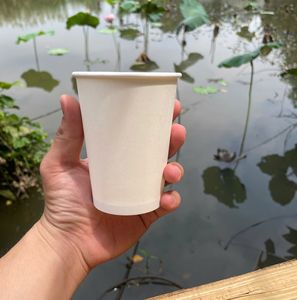 Vasos Desechables de Papel de Pared Simple GREEN NEST para Café, Eventos y Uso en Oficina, Ciudad de Ho Chi Minh, Impresión de Logotipo Personalizado Disponible - Product Image 5