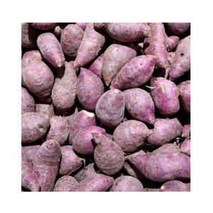 Cubes de pommes de terre violettes surgelées IQF, légumes préparés naturels à base de racines pour soupes, salades et traiteur - Product Image 5