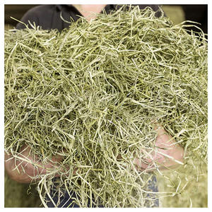 Heno de Timothy, Heno de Pasto Seco Fresco, Gran Cantidad, Distribuidor Mayorista a Nivel Mundial - Product Image 3