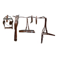Ensemble de harnais pour chevaux